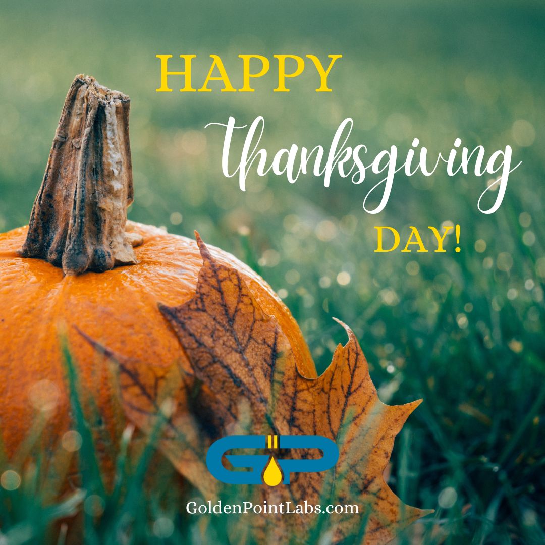 Happy Thanksgiving from GoldenPoint Scientific Labs